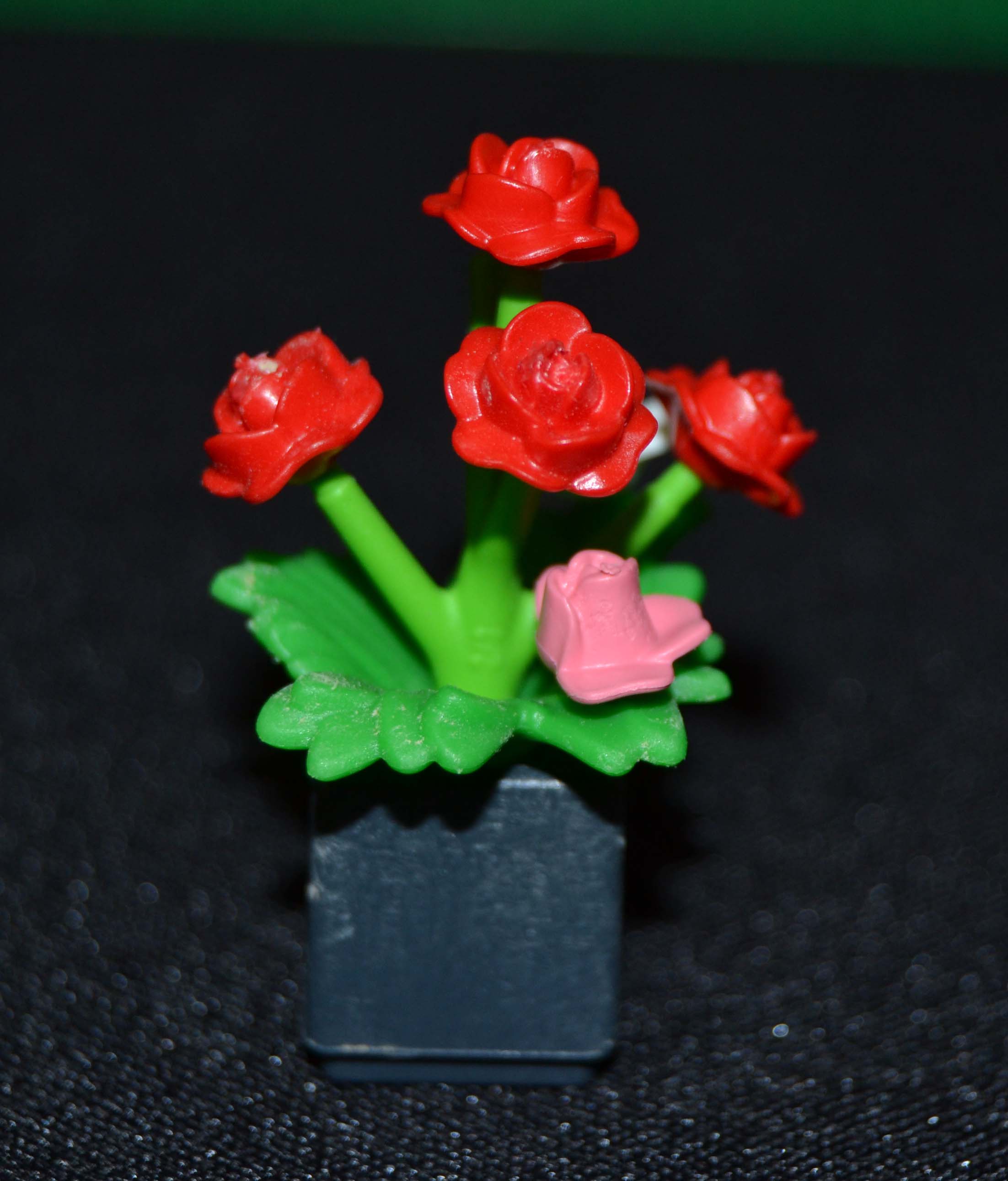 2013_02_24_3173.jpg