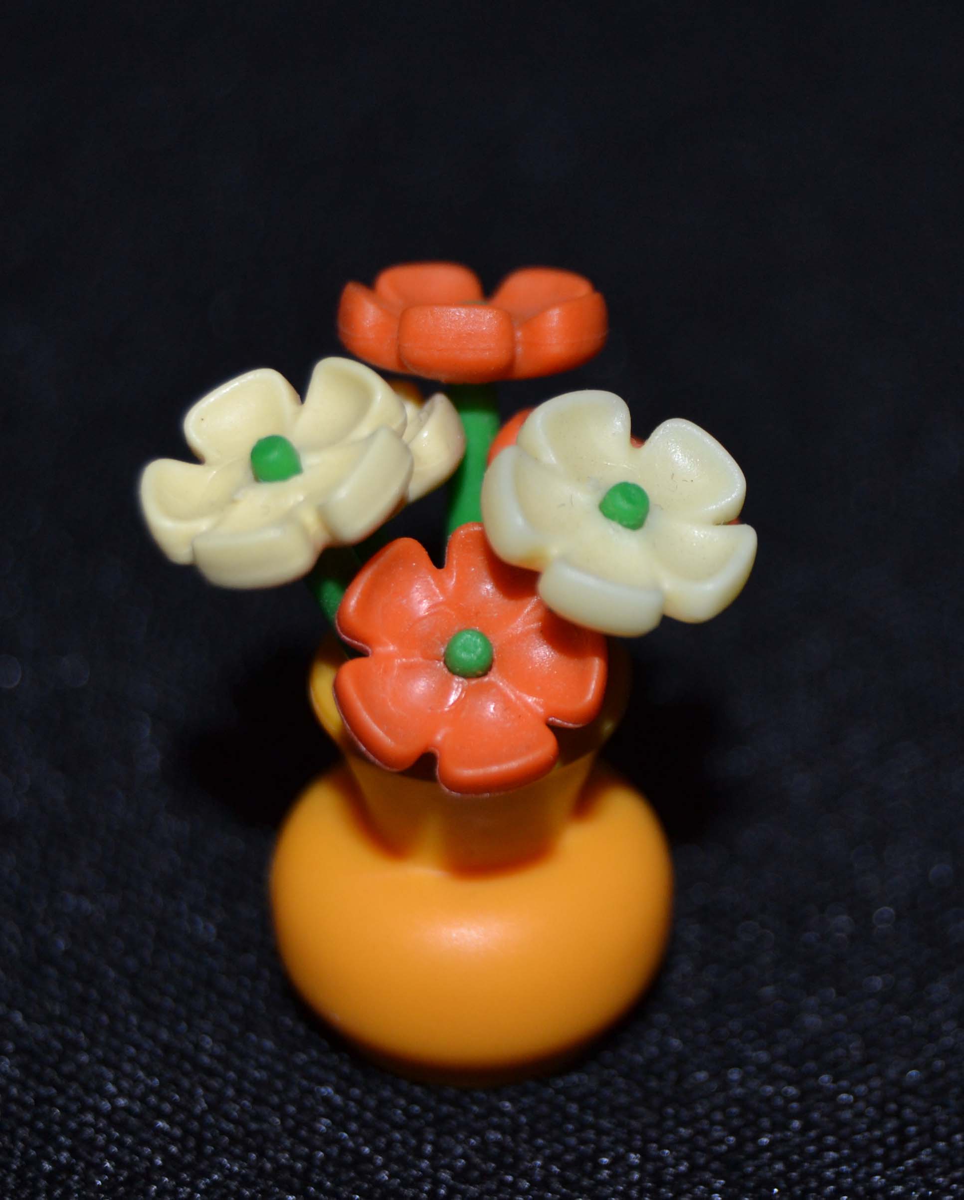 2013_02_24_3174.jpg