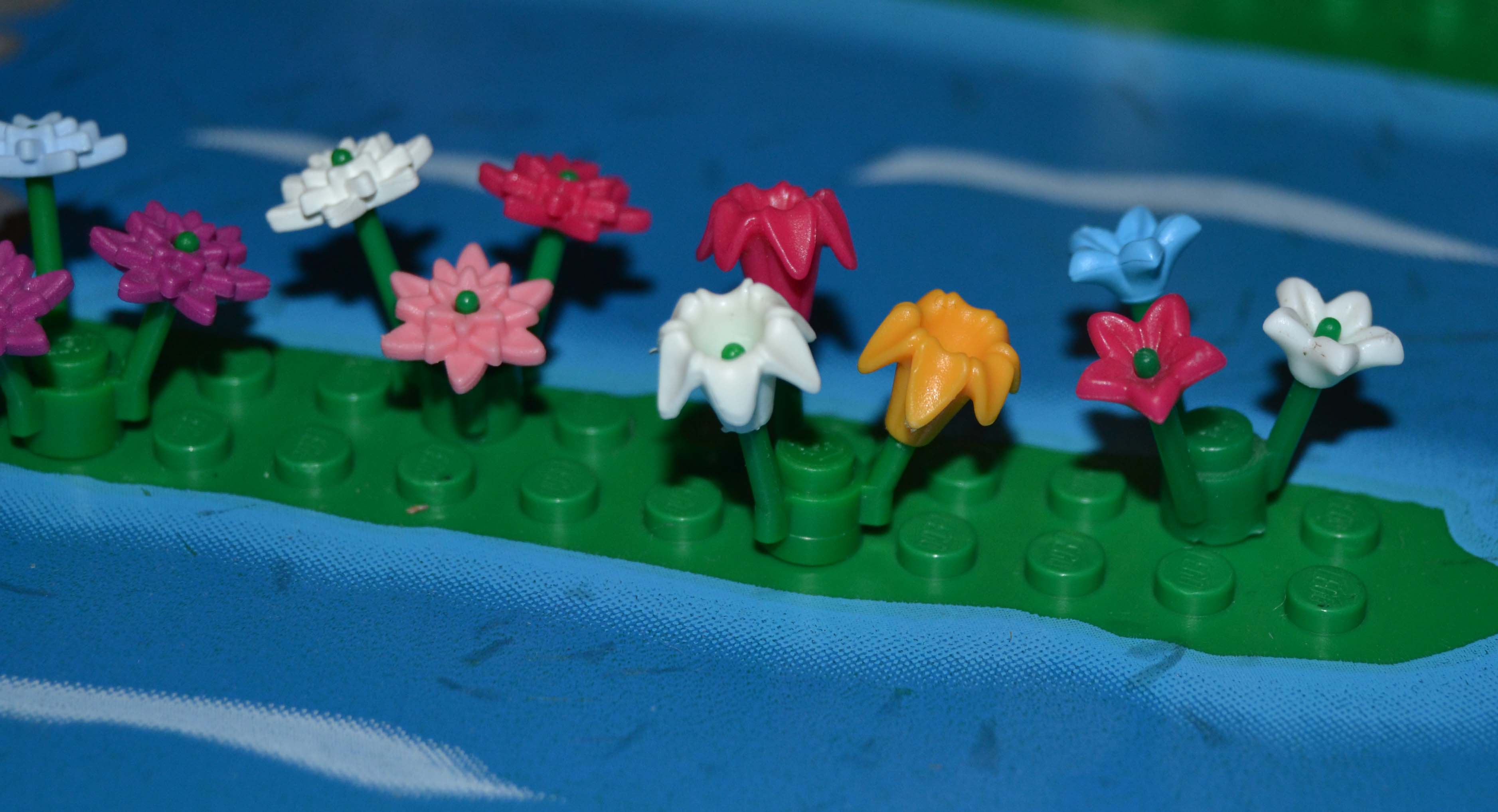2013_02_24_3194.jpg