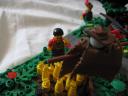 img_2991.jpg