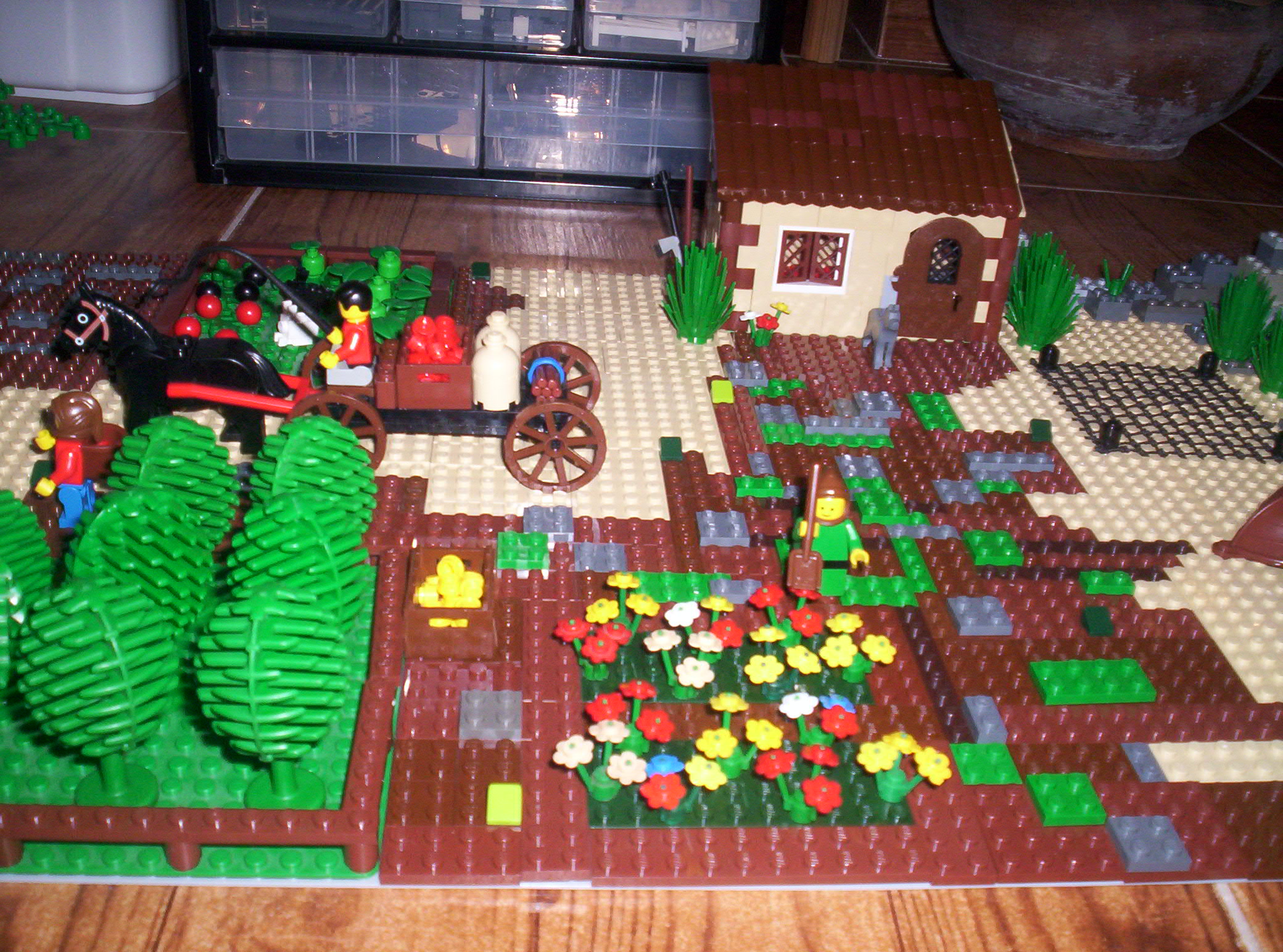 100_0962.jpg