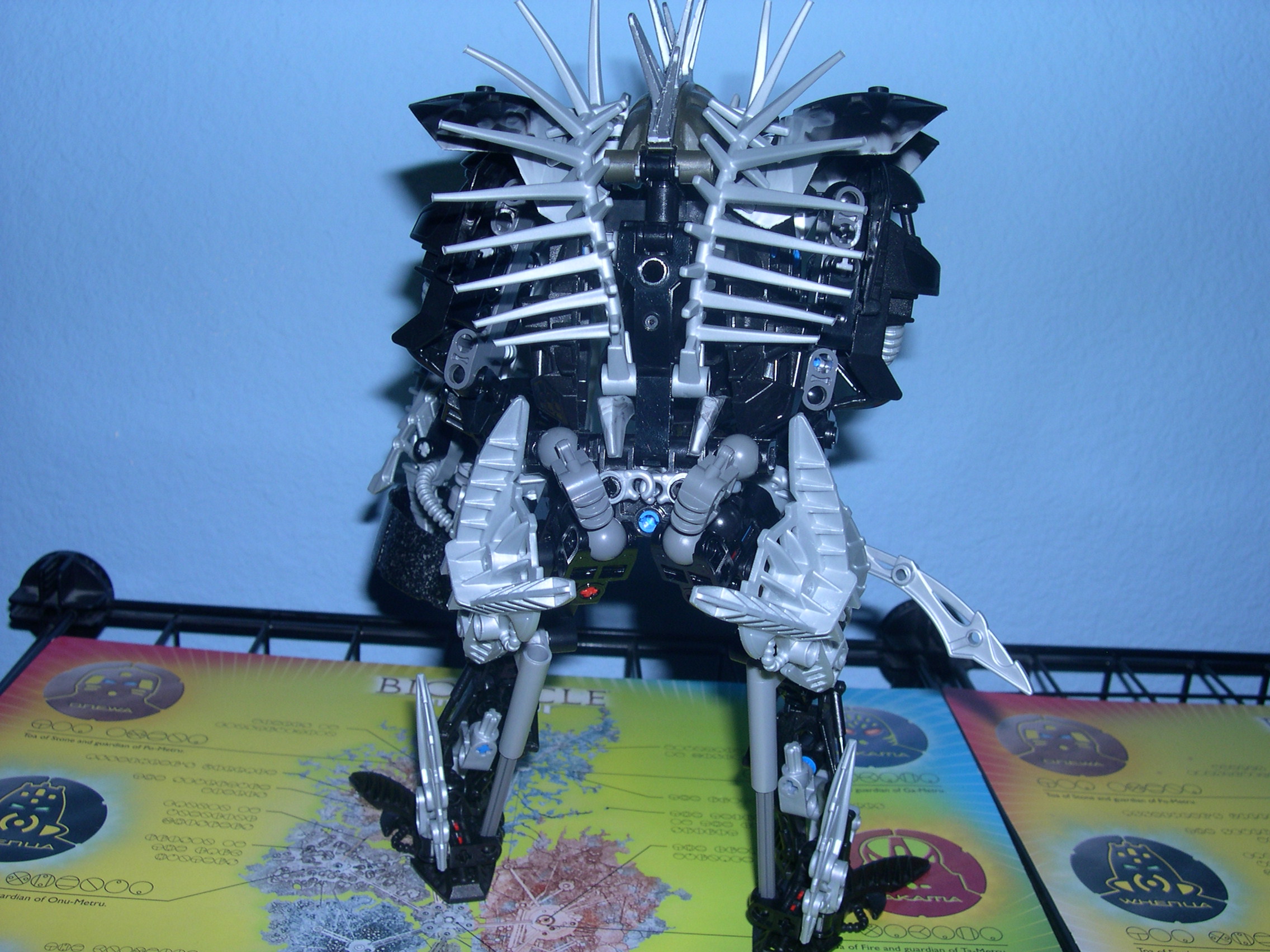 hamerix_back.jpg