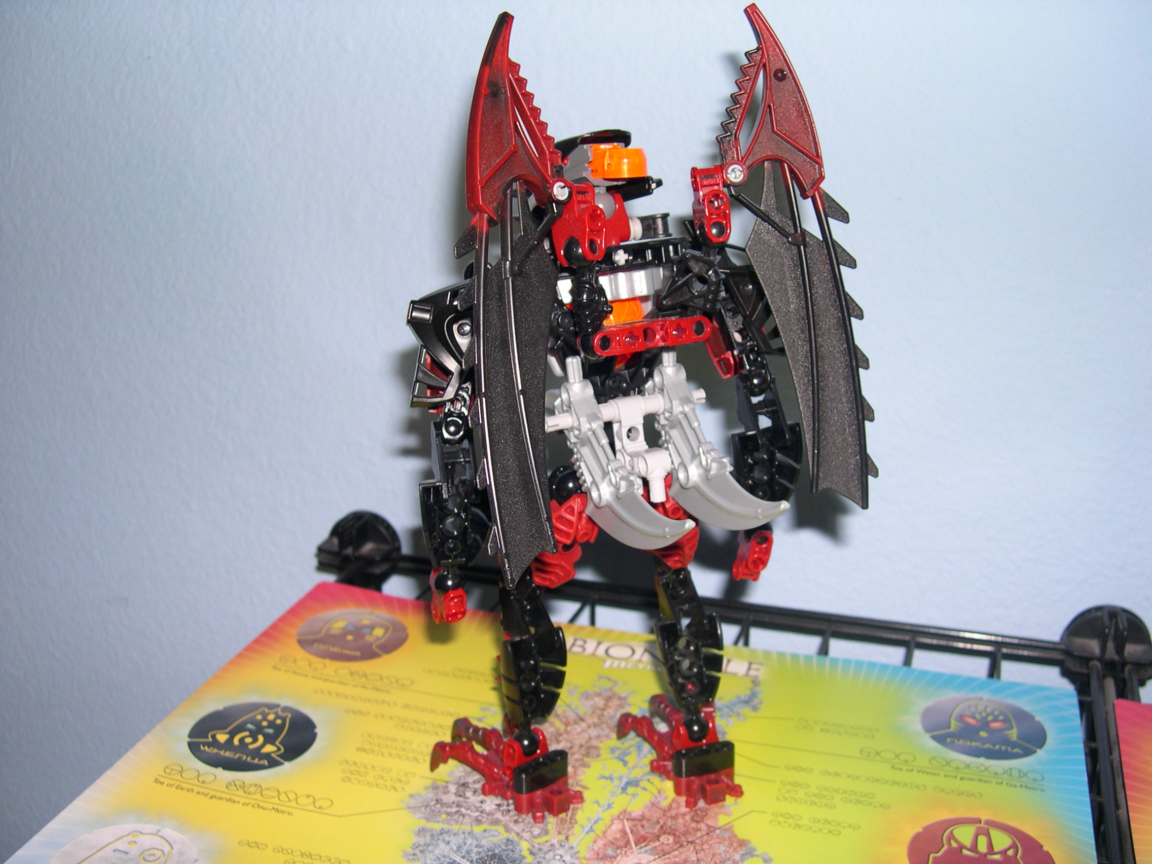 antroz_back.jpg