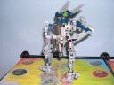 gali_back.jpg