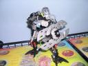 dscn6770.jpg
