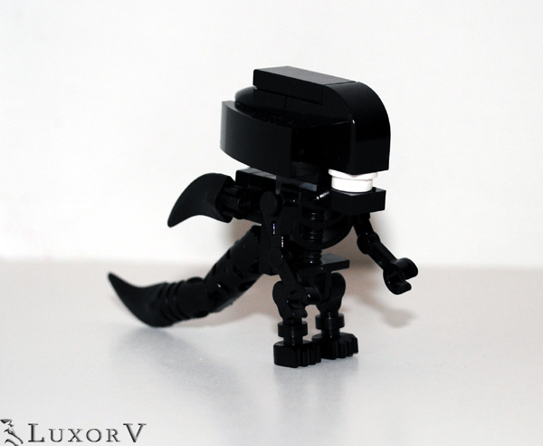 xenomorph_002.jpg
