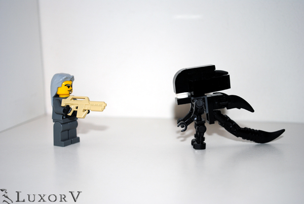 xenomorph_010.jpg