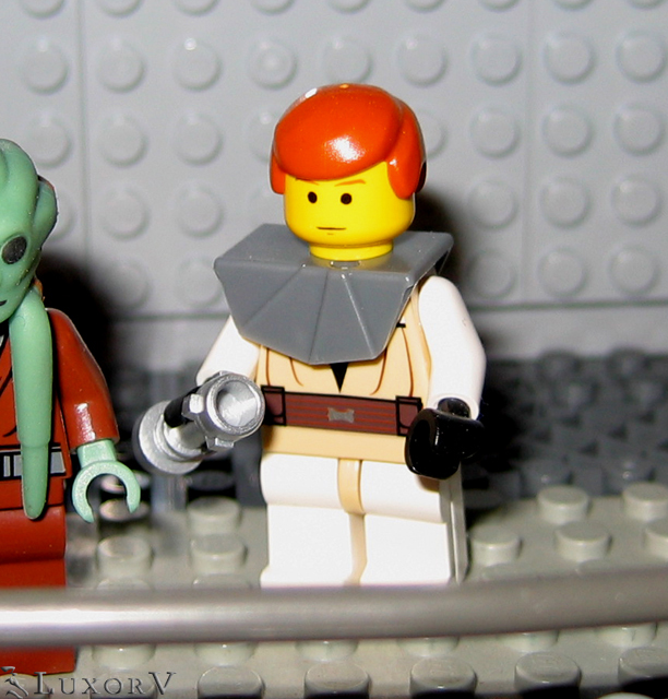swcwsigfig_001.jpg