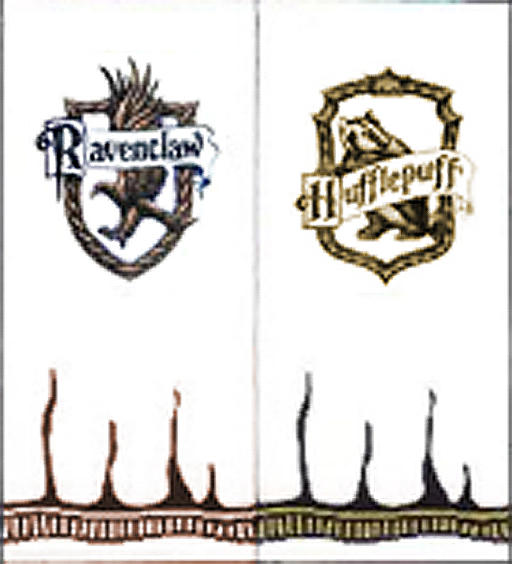 ravenclawhufflepuffbanner_001.jpg