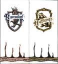 ravenclawhufflepuffbanner_001.jpg