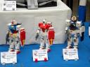 dscn0710.jpg