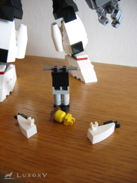 hinckleyspecial_009.jpg