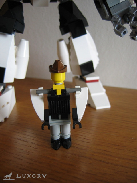 hinckleyspecial_010.jpg
