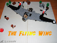 flyingwing_000.jpg