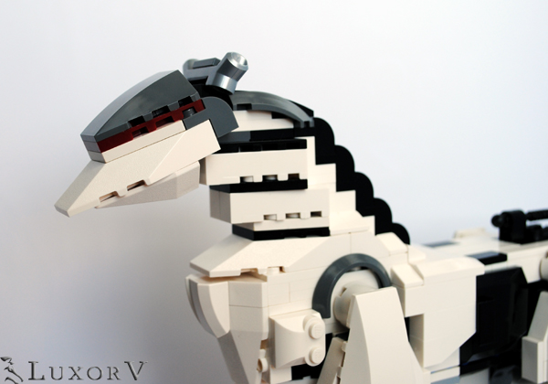 cyberhorse_006.jpg