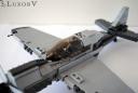 skyc_p40_009.jpg
