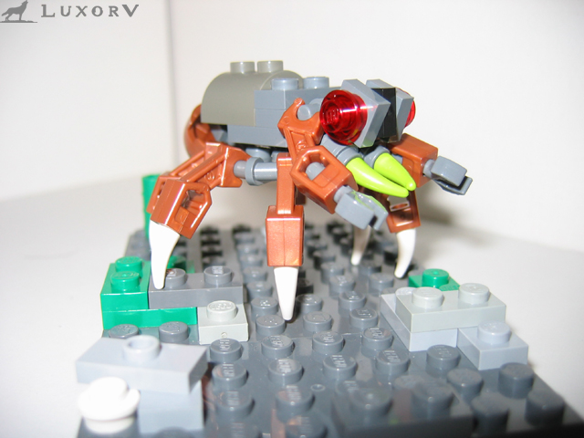 workerbug_002.jpg