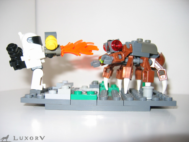planetp_002.jpg
