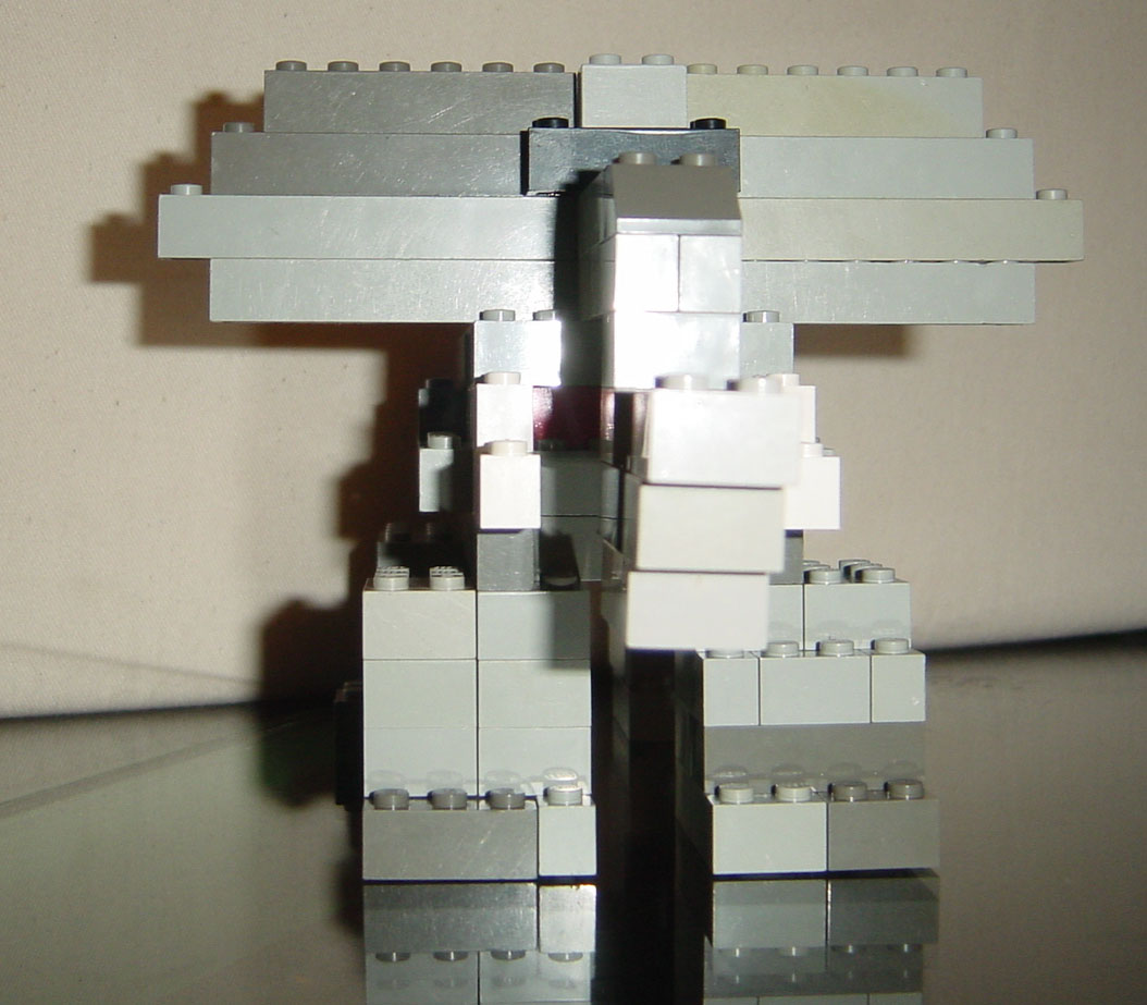 bh005388.jpg