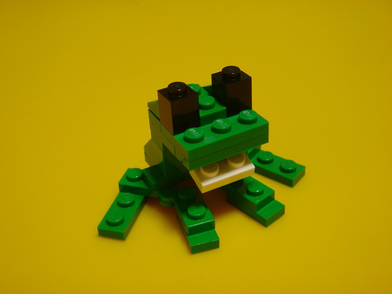 frog_01.jpg