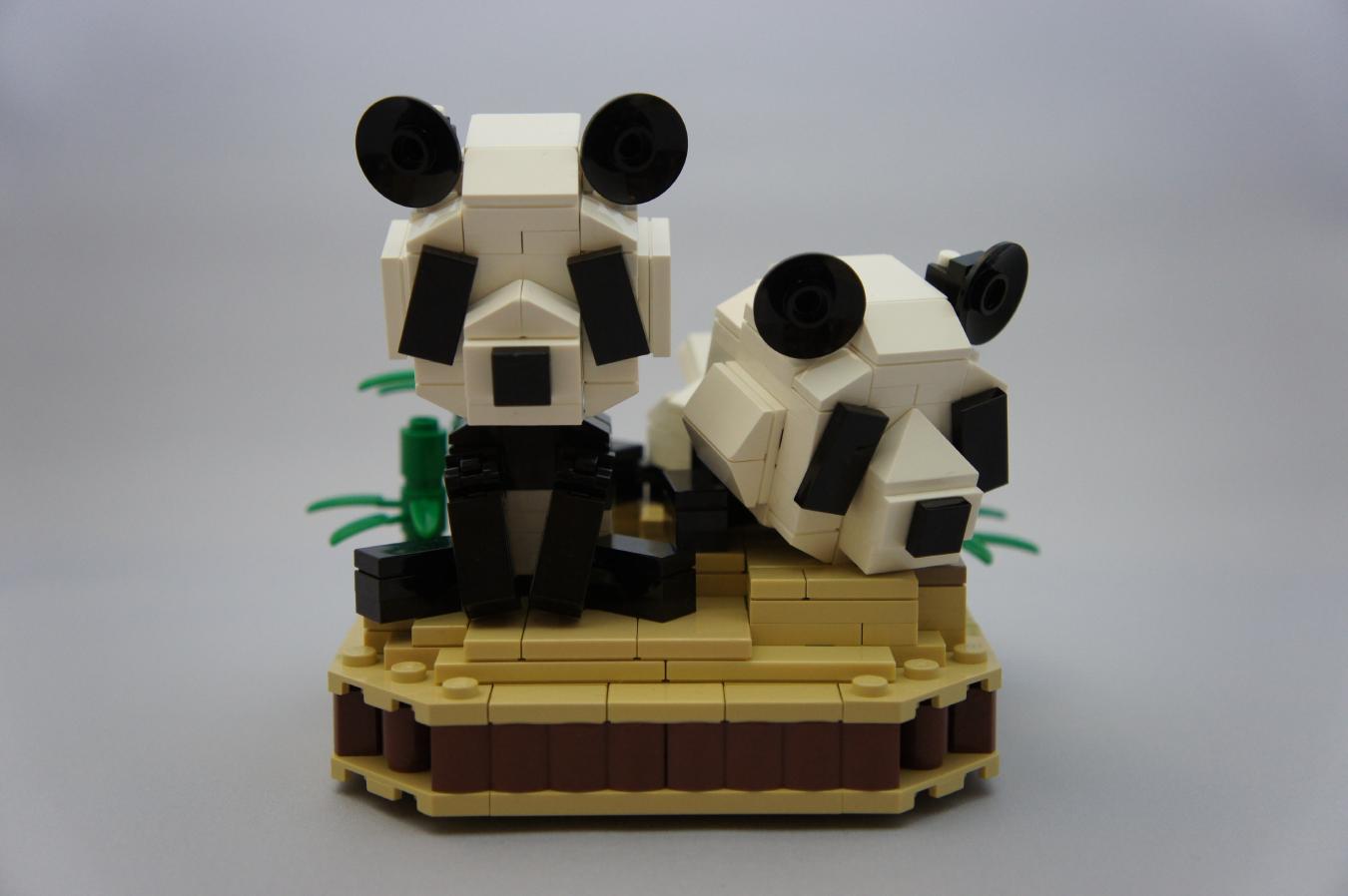panda_01.jpg