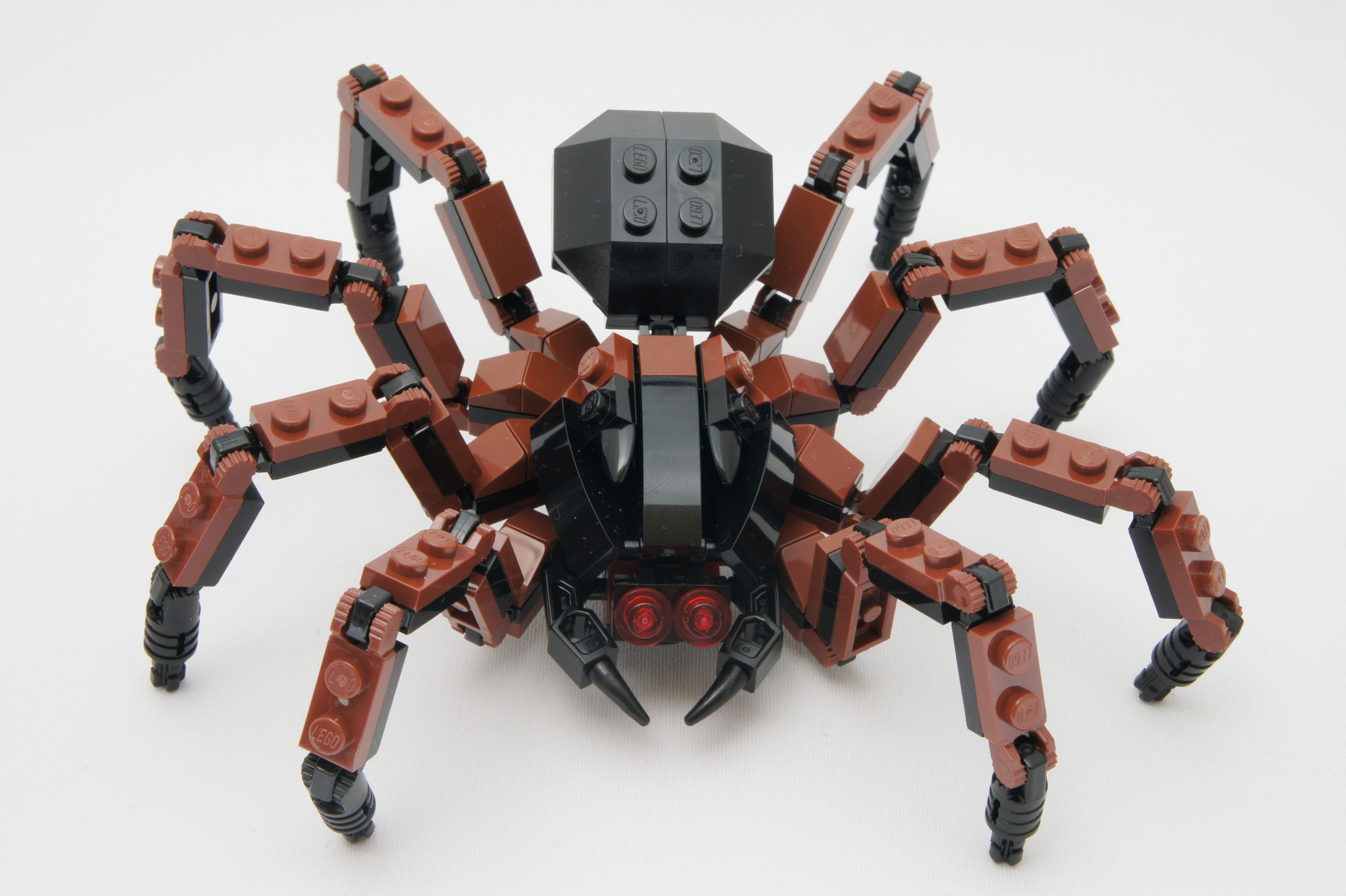 tarantula_02.jpg