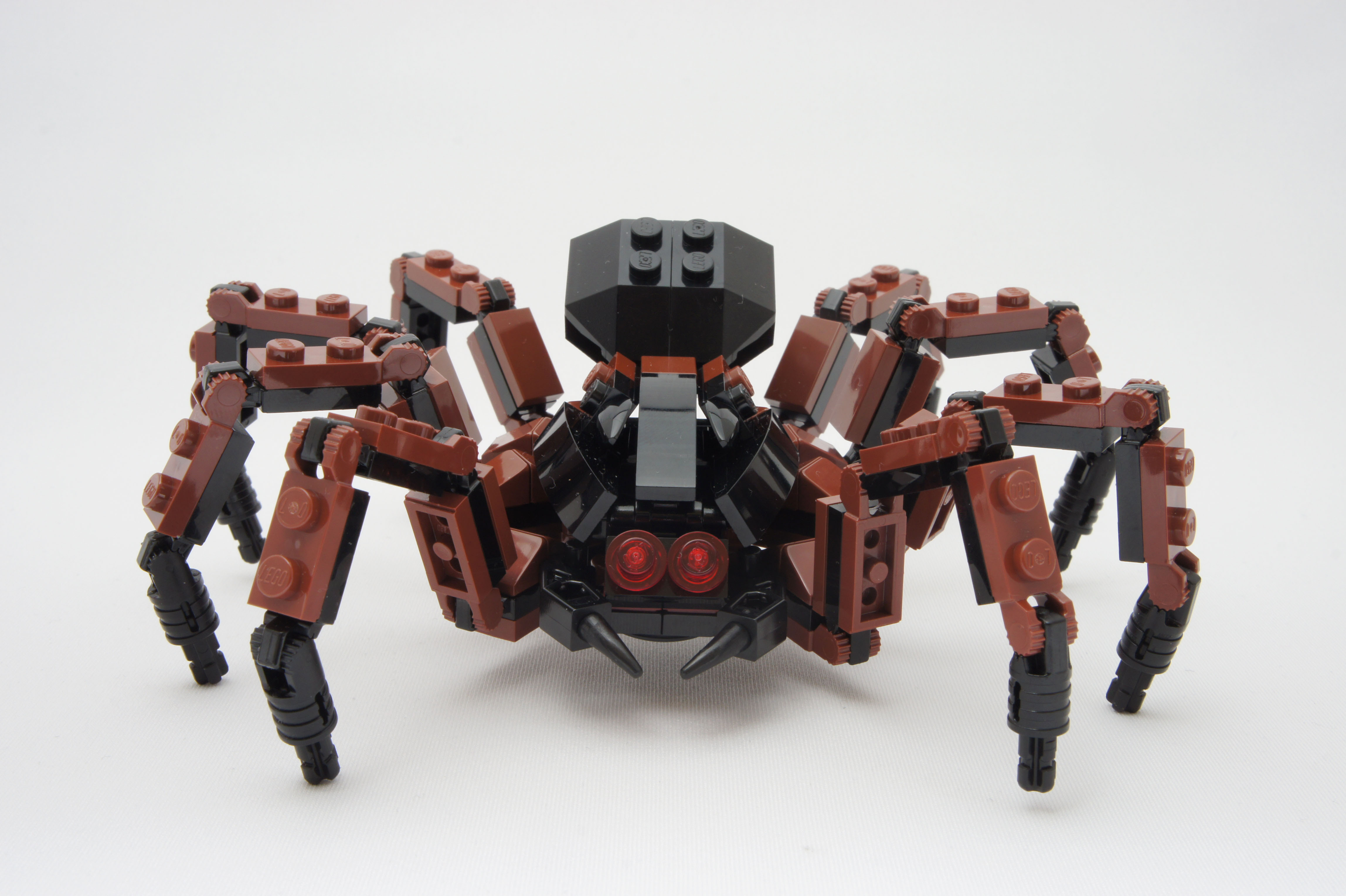 tarantula_03.jpg