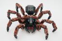 tarantula_02.jpg