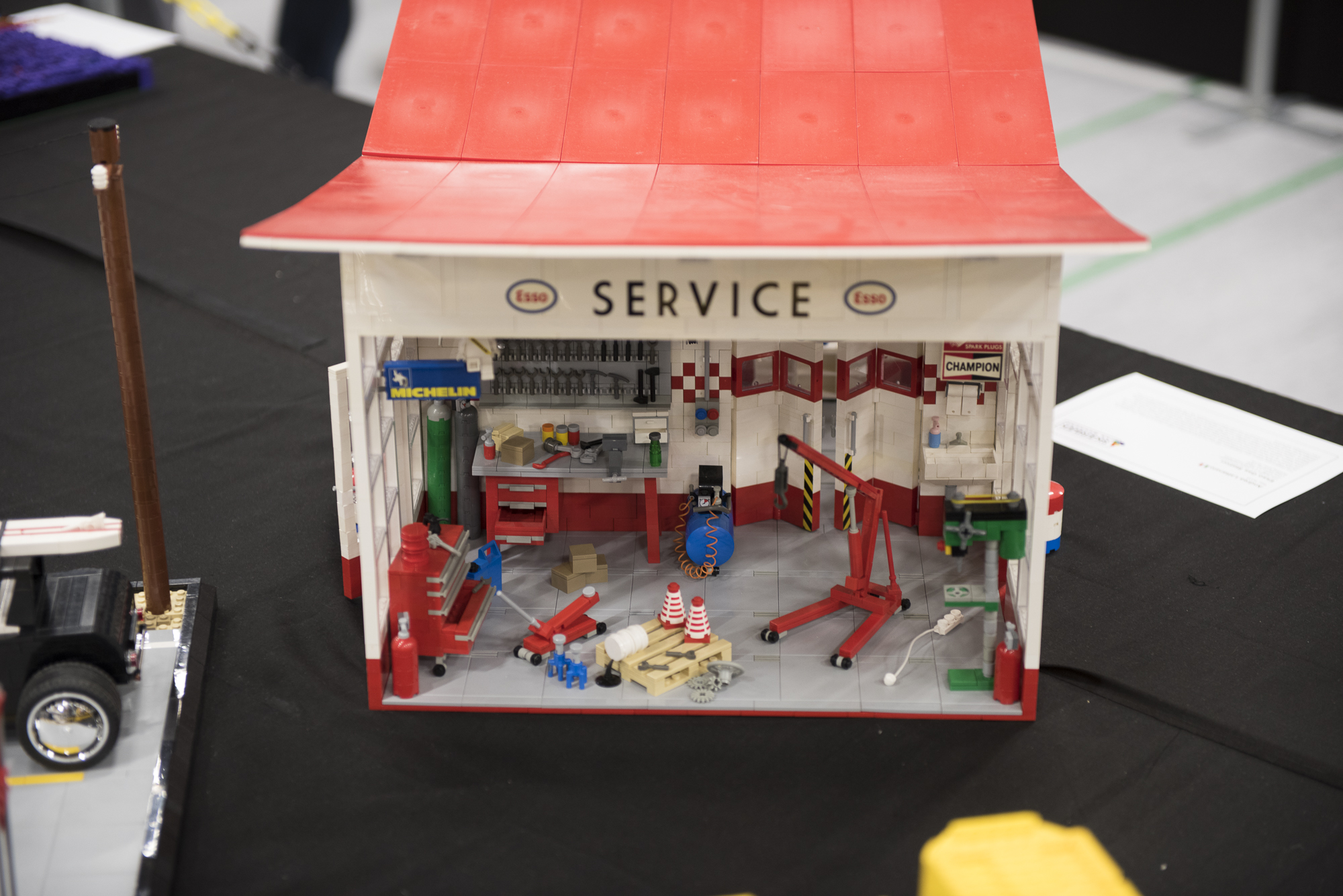 20180930_1035__mcd4975.jpg