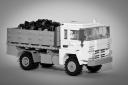 jelcz317_8wide_tipper_03.jpg
