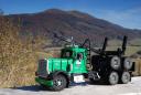 peterbilt359_loggingtruck_27.jpg