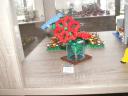 pict9820.jpg