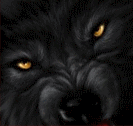 avatarwolf.gif