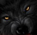 avatarwolf.gif