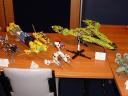 dsc04830.jpg
