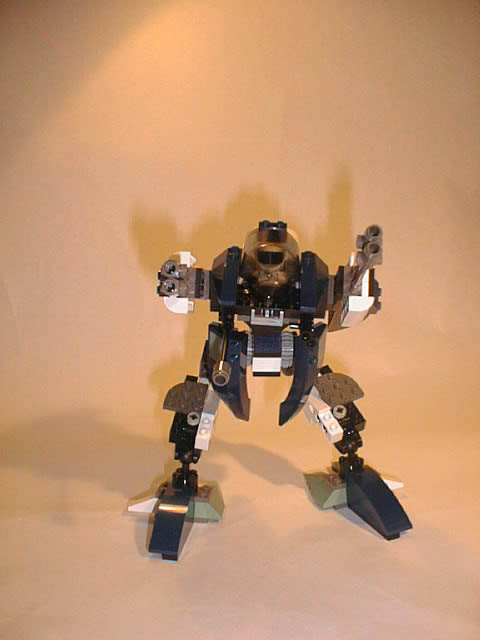 fig6_1.jpg