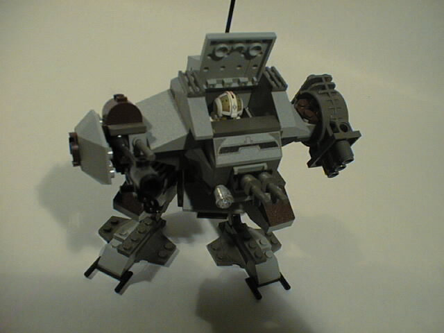 fig1_1.jpg