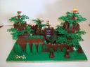dsc00605.jpg