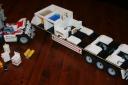 5571_withe_cat__race_105.jpg