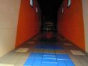 tribute_ktm_factory_racing_035.jpg