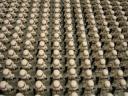 imperial4.jpg
