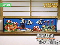 p1_2_41.jpg