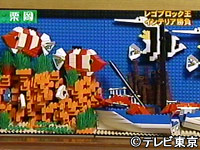 p1_2_42.jpg