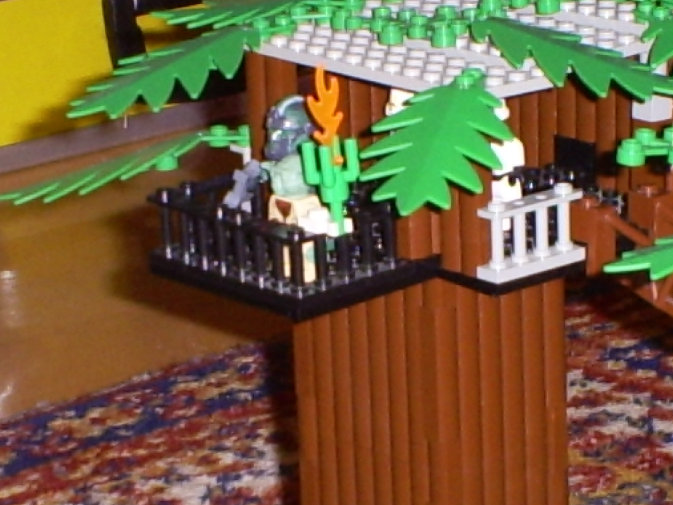 s5030138.jpg