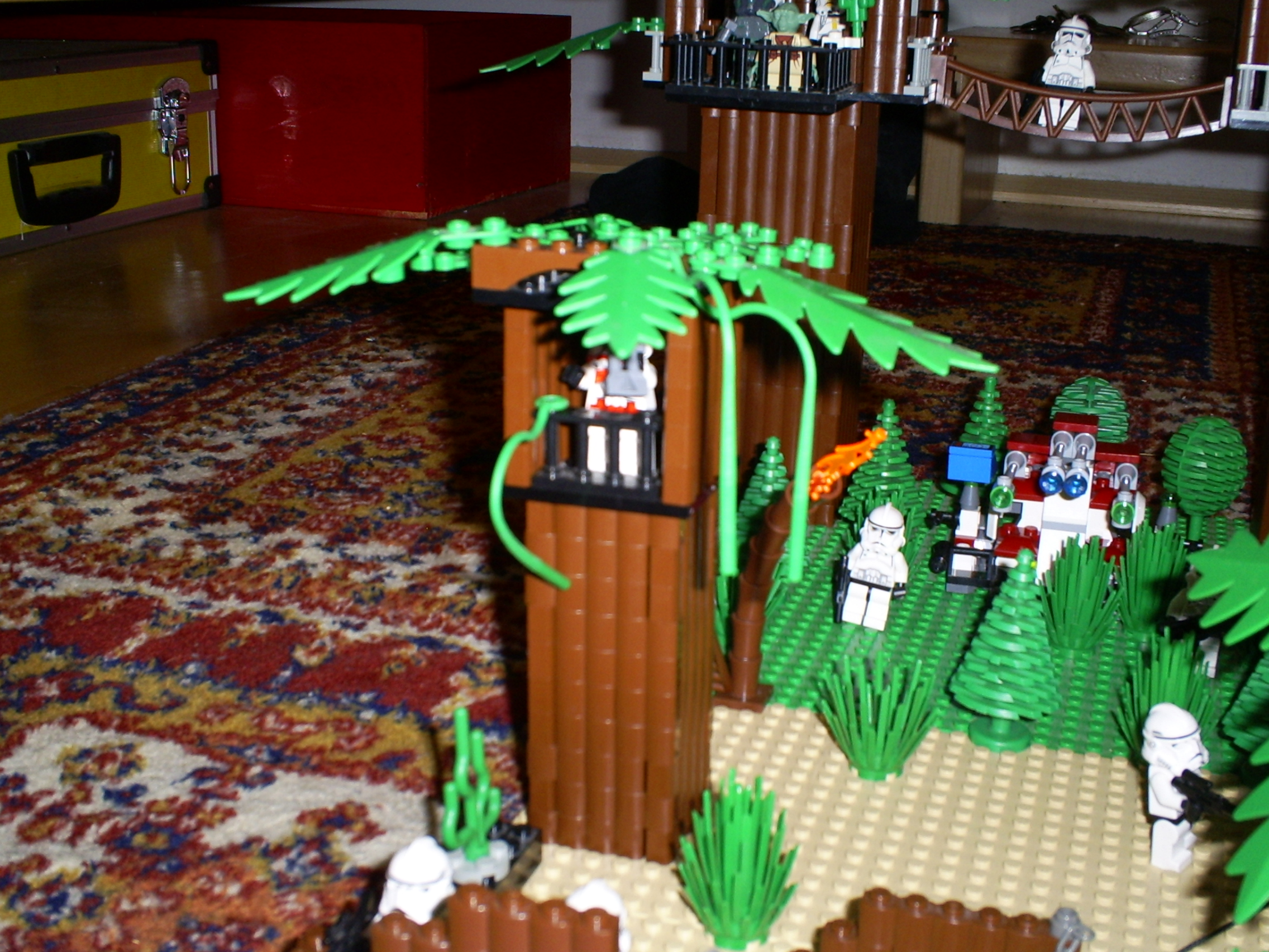 s5030145.jpg