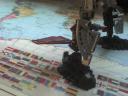 dsc00581.jpg