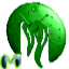 greentclaw.gif