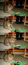 catzilla.jpg