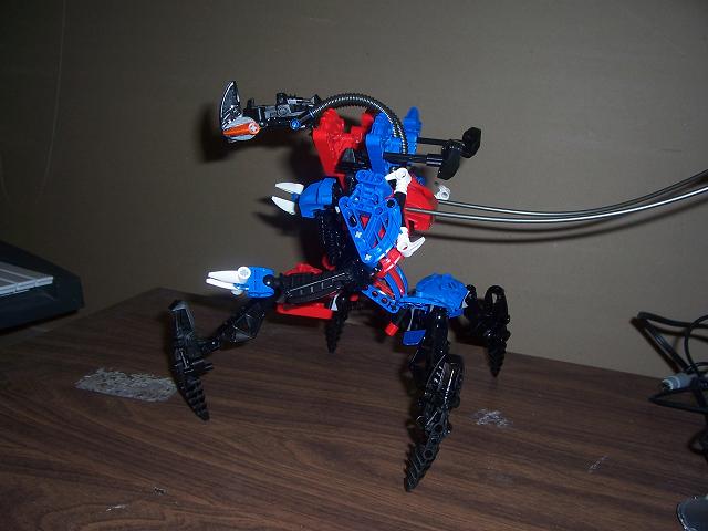 spider_03.jpg