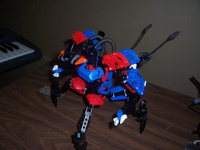 spider_05.jpg